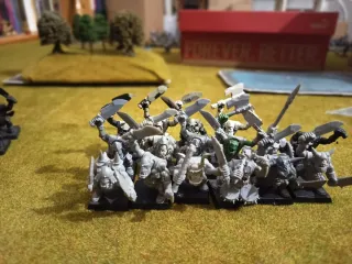 Warhammer Orcos Guerreros