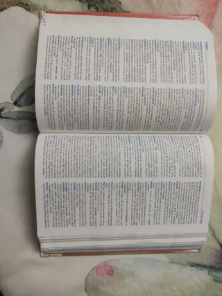 Diccionari Caramull Avançat. Valencià