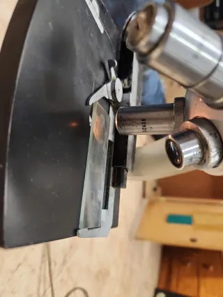 Microscopio Binocular PZO Funcionando