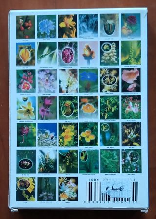 Cartas florales. Las 38 esencias florales de Bach.