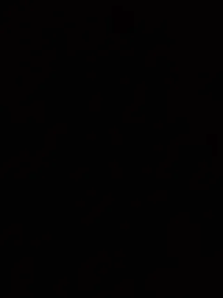 Cocina china busca cocinero de arroz