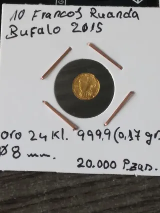 Monete d'oro. Lotto Xavier