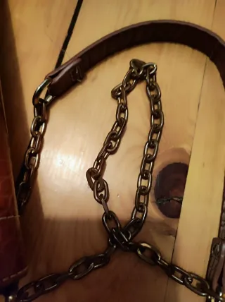 Bolso pequeño marrón con cadena dorada