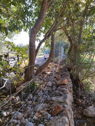 Jardinero mallorquin con experiencia