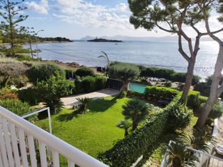 Jardinero mallorquin con experiencia