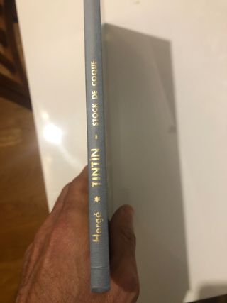 Tintin￼ Stock de Coque