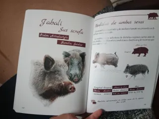 Guía de Ungulados Silvestres de Andalucía