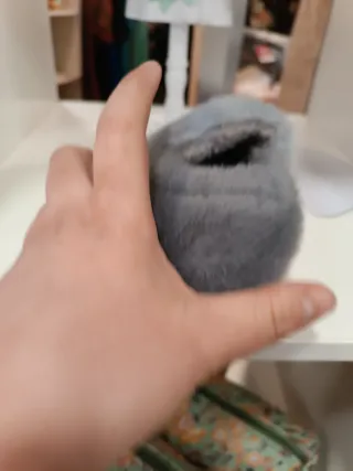 Zapatillas de casa de peluche con oso diferentes