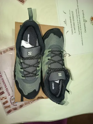 Zapatillas Salomon Ardent GTX Verde
