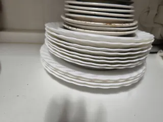 Conjunto de platos para lavavajillas