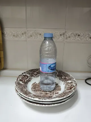 6 Platos Soperos Grandes