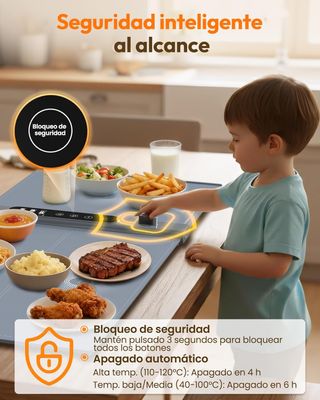 Bandeja Calienta Platos 3 Zonas independientes