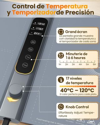 Bandeja Calienta Platos 3 Zonas independientes