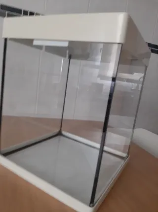 Acuario pecera