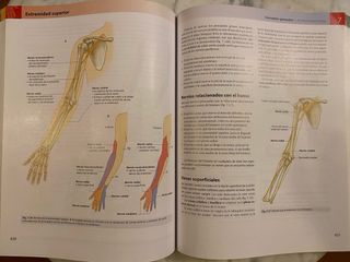 Anatomía para estudiantes