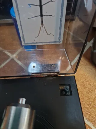 Tocadiscos Acoustic Control Negro/Verde