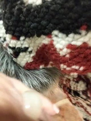 Chaqueta Lana y Pelo Talla Únic