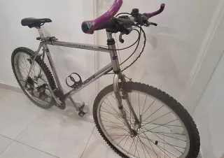 Bicicleta de montaña plateada