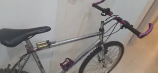 Bicicleta de montaña plateada