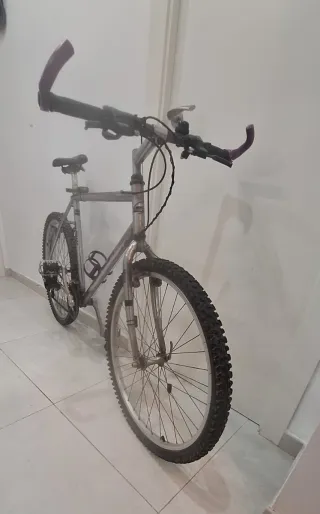 Bicicleta de montaña plateada