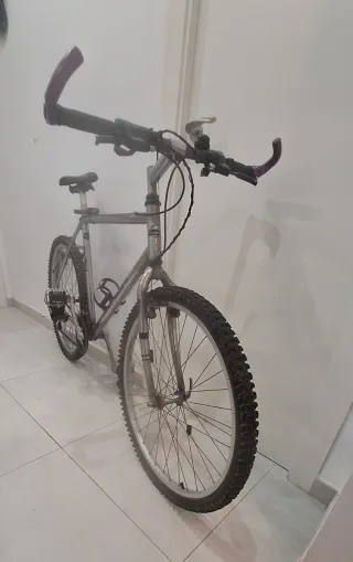 Bicicleta de montaña plateada