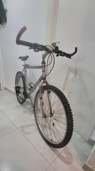 Bicicleta de montaña plateada