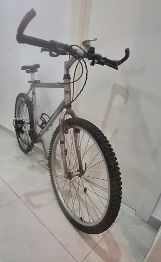 Bicicleta de montaña plateada