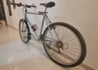 Bicicleta de montaña plateada