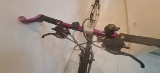 Bicicleta de montaña plateada