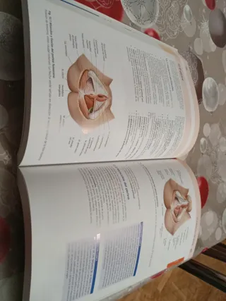 PROMETHEUS. Anatomía