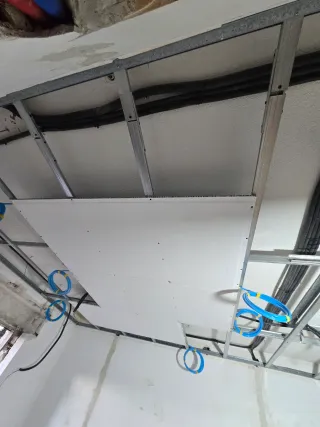 Pladurista profesional -_-.