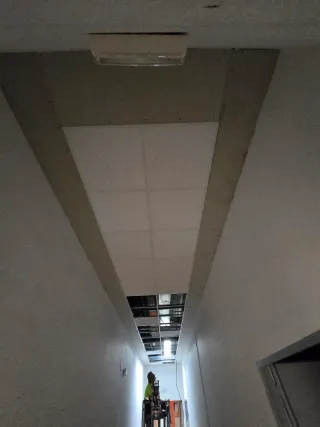 Pladurista profesional -_-.