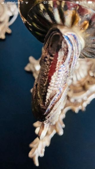 Coppia Applique Vintage Ottone Anni 40/50