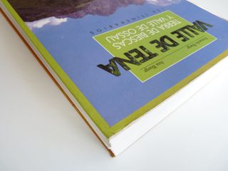 Valle de Tena Tierra de Biescas y Valle de Ossau