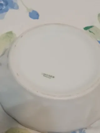 Scatola Porcellana Limoges France con Coperchio Bi