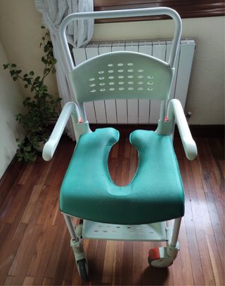 Cama articulada eléctrica, se regala silla de baño