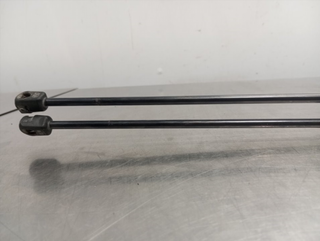 AMORTIGUADORES MALETERO / PORTON FORD C-MAX (CB7)