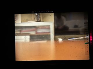 Contax RTS Cámara Reflex + Lentes 50mm 1.4 y 28mm