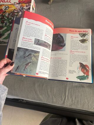 DOS LIBROS:  -EL PORQUÉ DE LAS COSAS - POR QUÉ