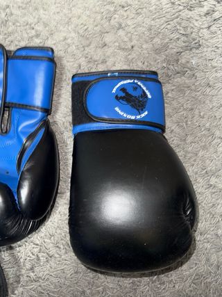 Guanti da Boxe