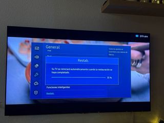 TV Samsung 65 Qled QE65Q90TATXXC fallo (Con peana)