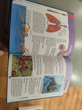 El porqué de la cosas