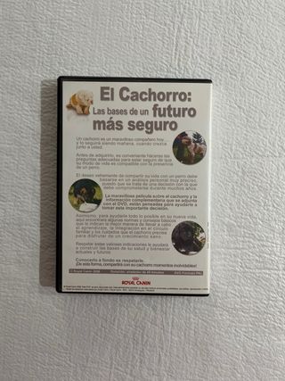 El cachorro: Las bases de un futuro más seguro