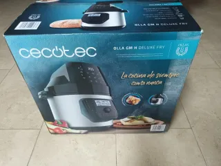 Olla GM H Deluxe Fry Cecotec