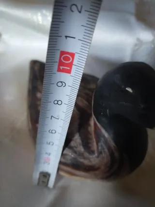 Candela a forma di anatra