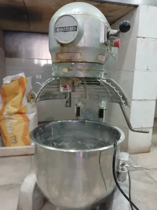 Amasadora Profesional 20L