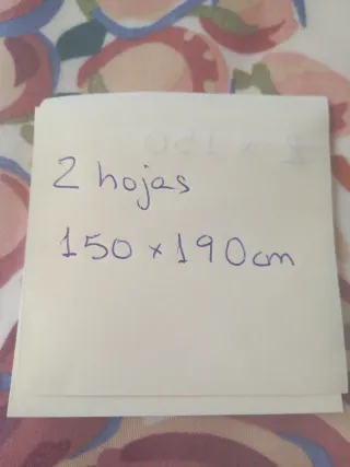 Puerta de doble  hoja de hierro.