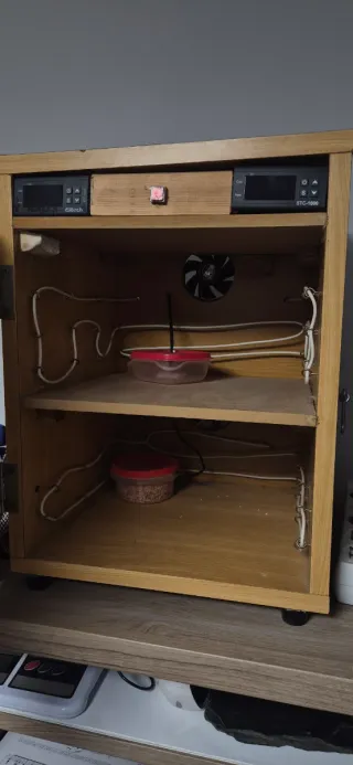 Incubadora casera 2 espacios