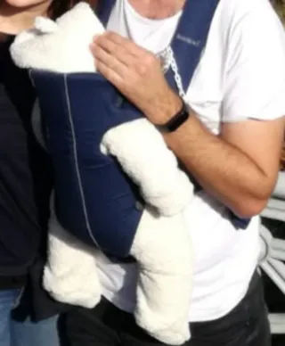 Mochila Porta Bebé Ergonómica Babybjörn