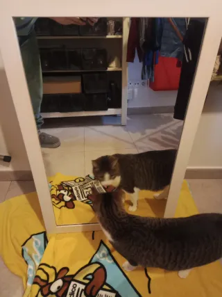 Espejo de baño blanco